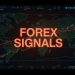 Forex Signals