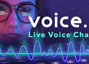 Voice Ai